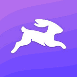 Directus logo