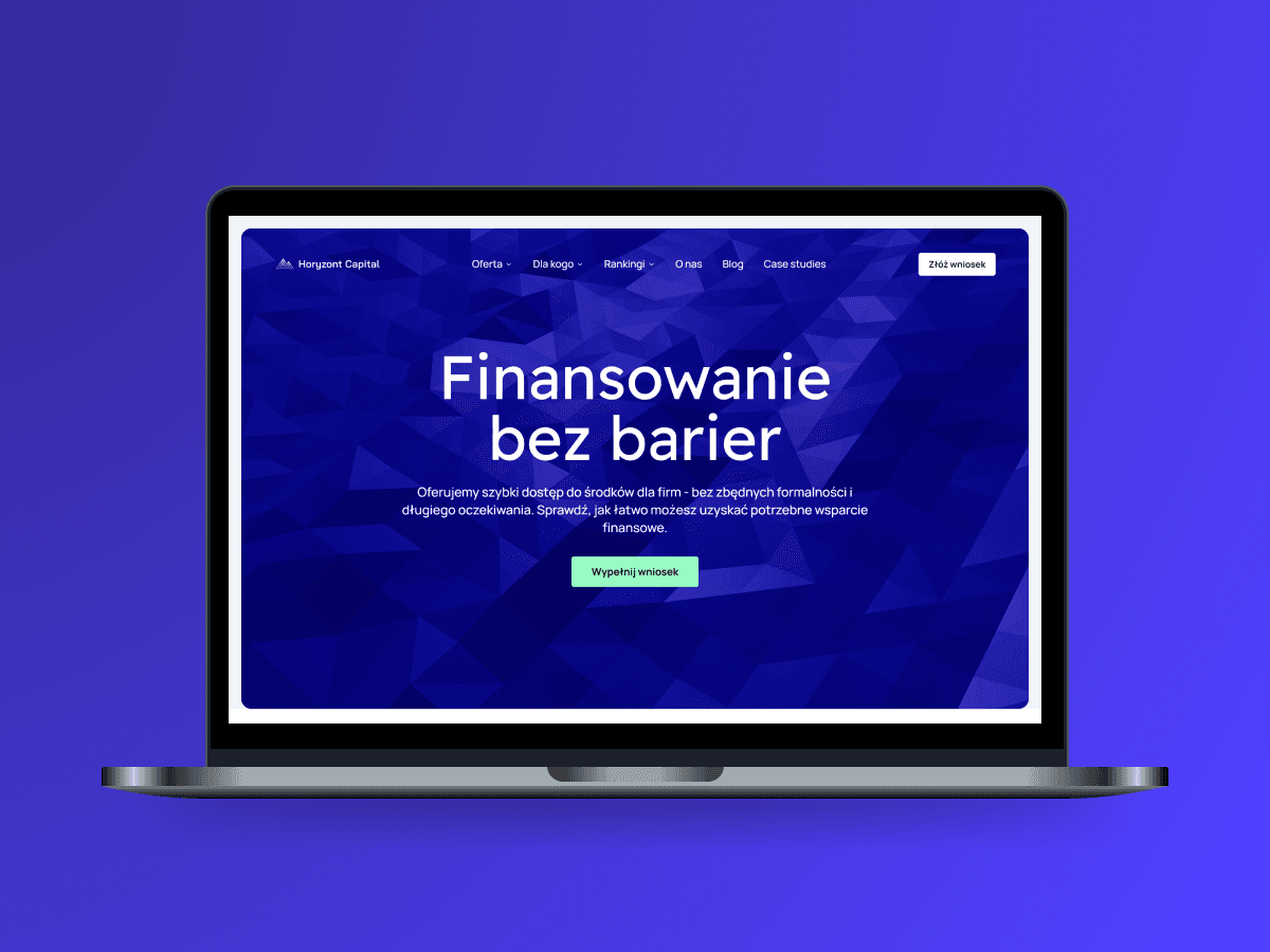 Horyzont Capital case study